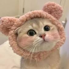 نادیا بٹ avatar